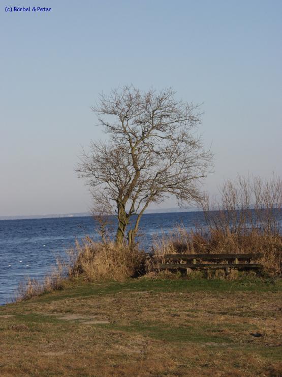 PC315655